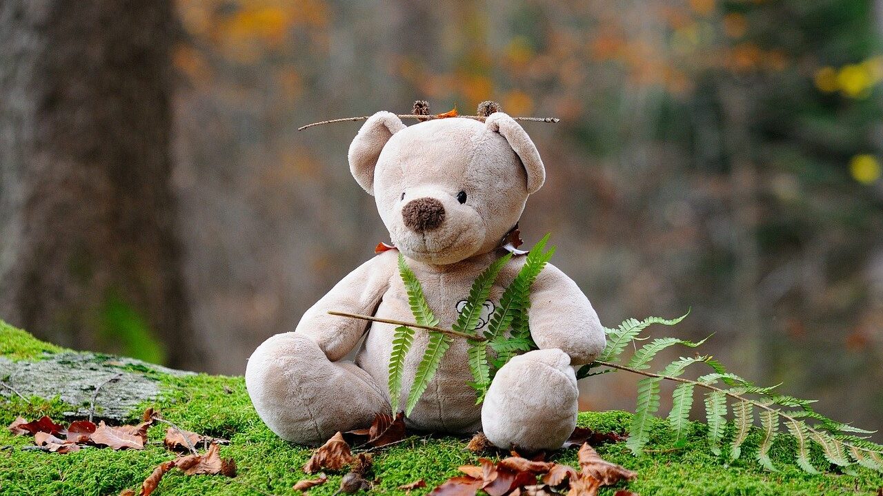 teddy-bear